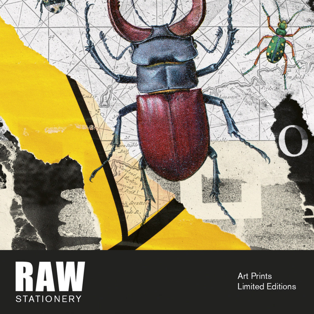 Lámina Romano «Bugs» A3