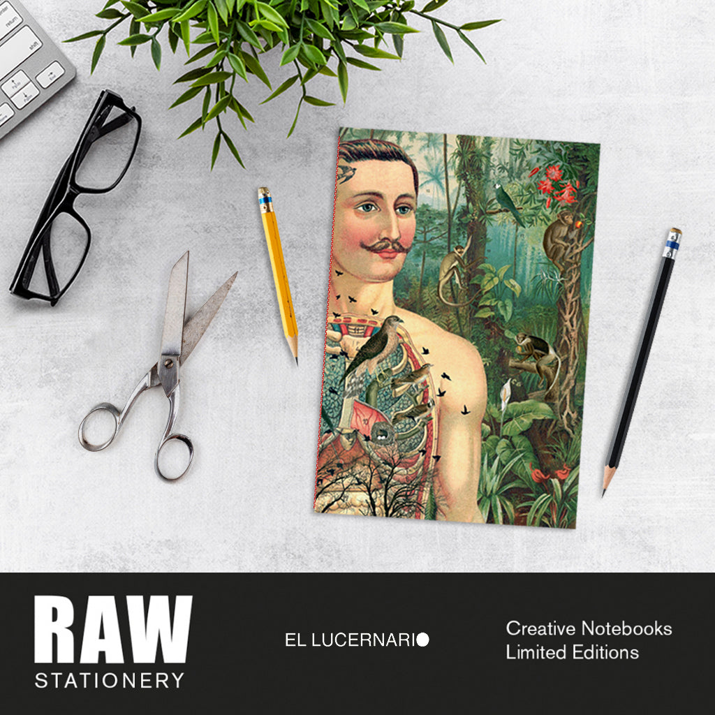 Libreta El Lucernario «Atrapa-pájaros»