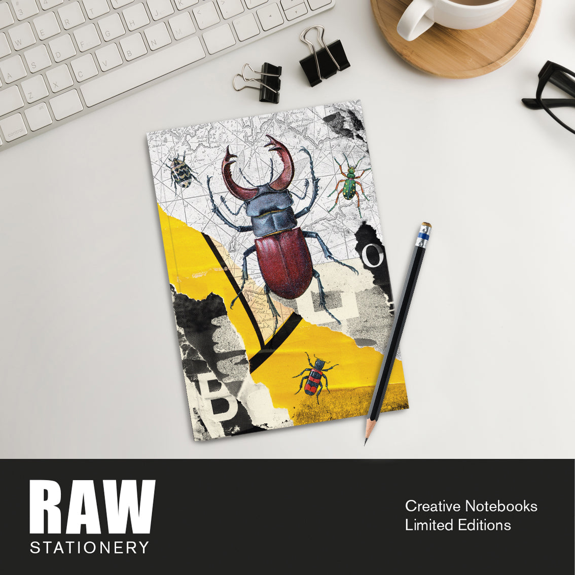 Cuaderno Romano «Bugs»