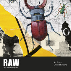 Lámina Romano «Bugs» A3