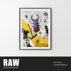 Lámina Romano «Bugs» A3